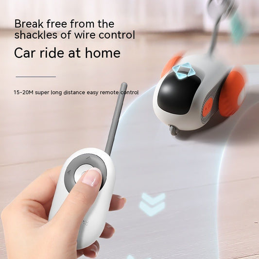 Cat playing with remote control car toy