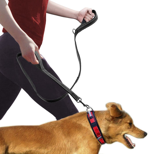 Double handle dog leash with reflective nylon