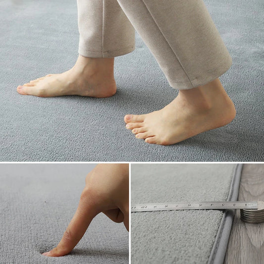 Modern coral velvet non-slip carpet for living room bedroom and home decor