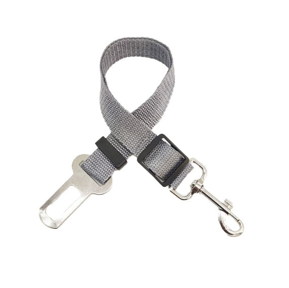Dog safety leash for car travel