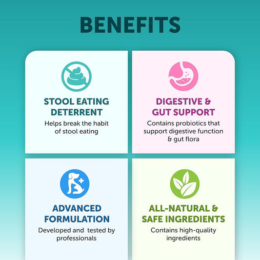 Pet probiotic chewable tablets for dogs