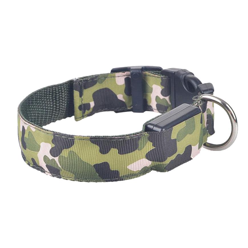 Luminous LED dog collar for night walking