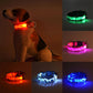Luminous LED dog collar for night walking