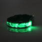 Luminous LED dog collar for night walking