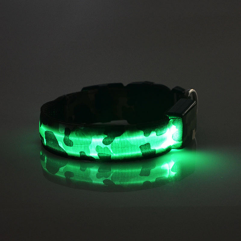 Luminous LED dog collar for night walking