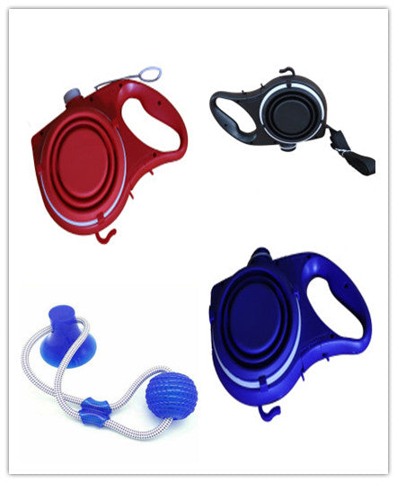 Portable dog leash with water bottle and cup