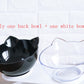 Elevated tilted cat bowl for food and water