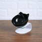 Transparent cat ear pet bowl with raised base
