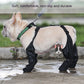 Non-slip dog paw boots for walking