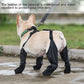 Waterproof dog shoes for outdoor walking