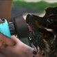 Portable dog water bottle with foldable drinking cup