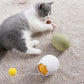 Interactive cat toy with rolling ball