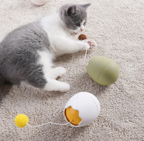 Interactive cat toy with rolling ball
