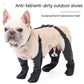 Non-slip dog paw boots for walking