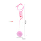 Suction cup spring cat toy for indoor play