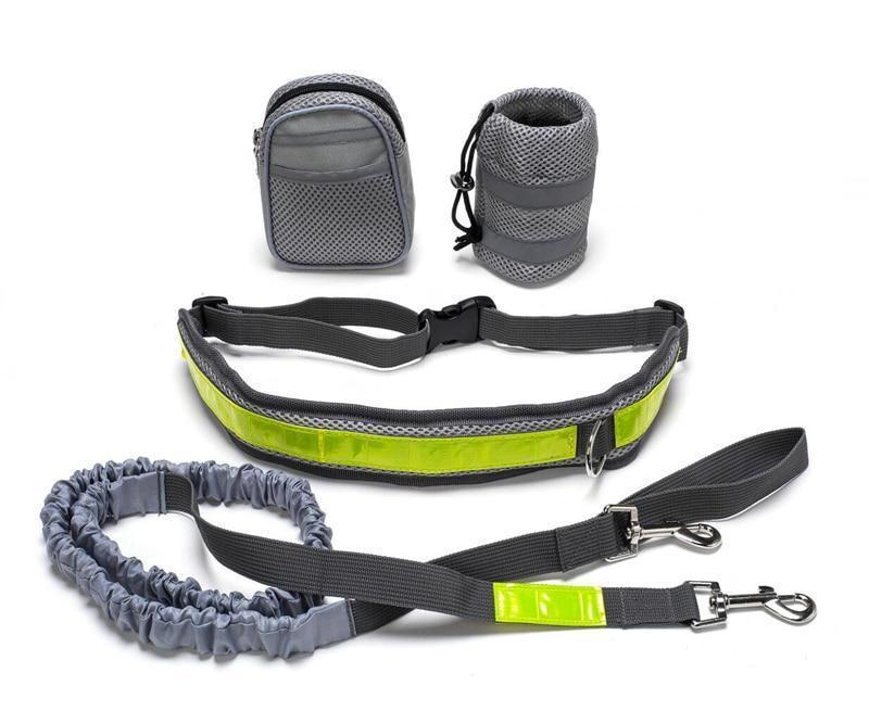Adjustable hands free dog leash for running