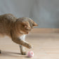 Smart cat rolling ball toy for indoor play