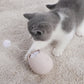 Interactive cat toy with rolling ball