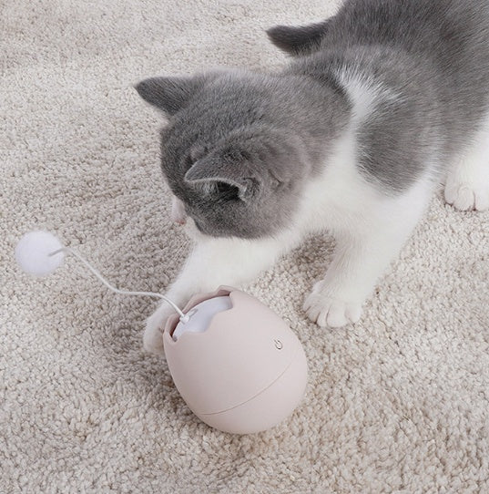Interactive cat toy with rolling ball