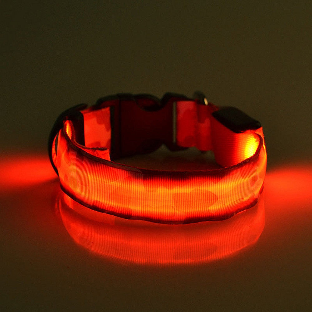 Luminous LED dog collar for night walking