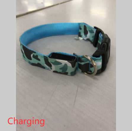 Luminous LED dog collar for night walking