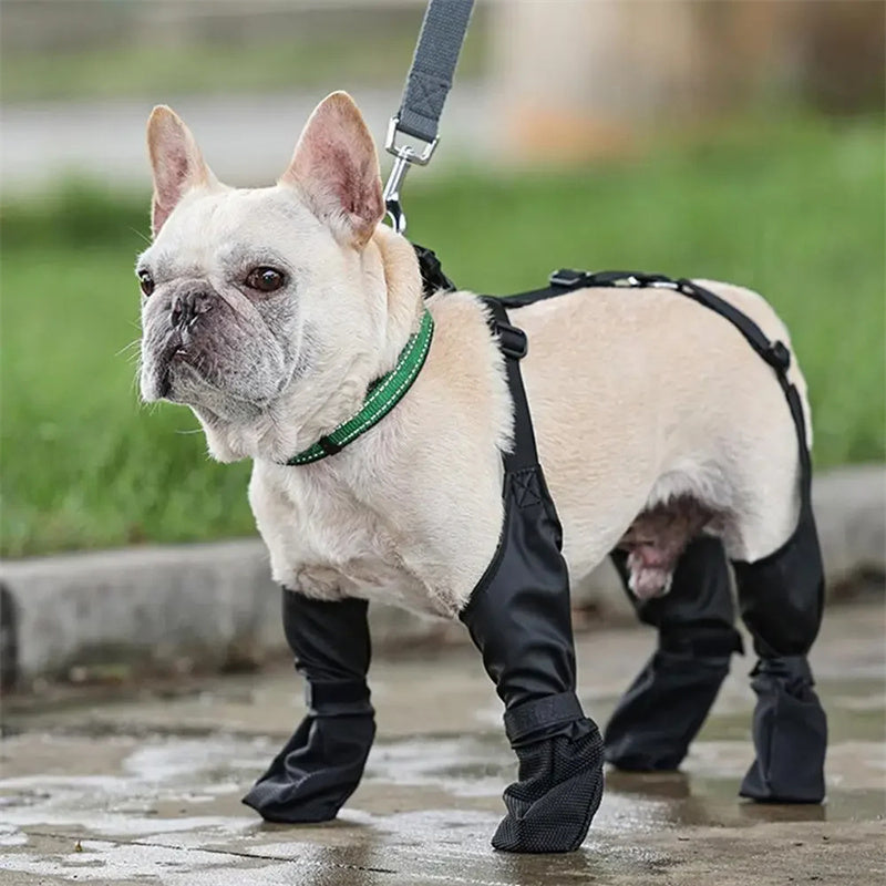 Non-slip dog paw boots for walking