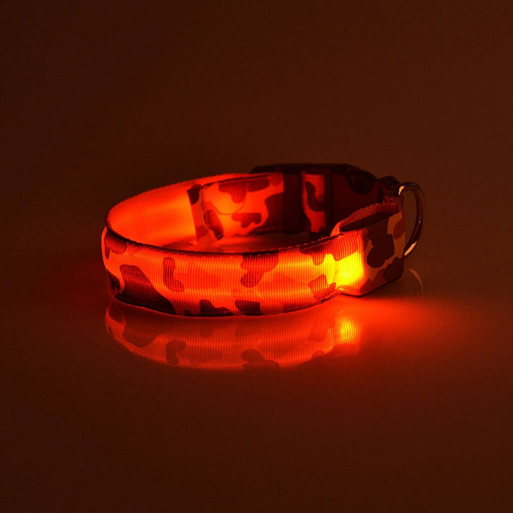 Luminous LED dog collar for night walking