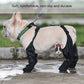 Waterproof dog shoes for outdoor walking