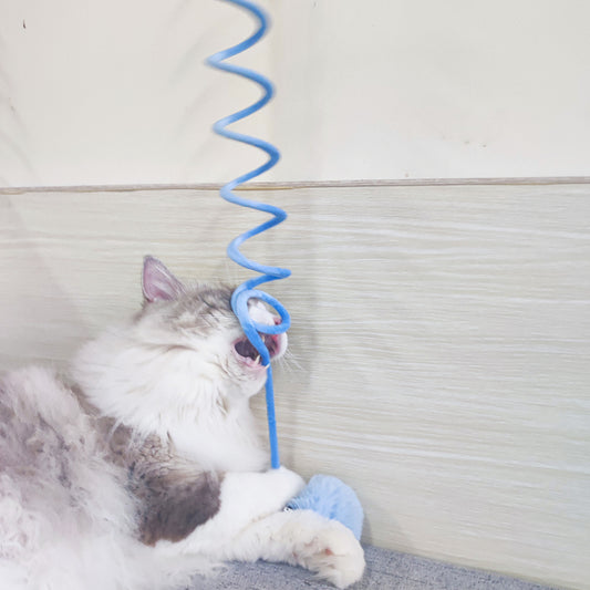 Interactive spring cat toy with suction cup and plush ball