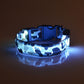 Luminous LED dog collar for night walking