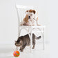 Automatic cat ball toy with remote control