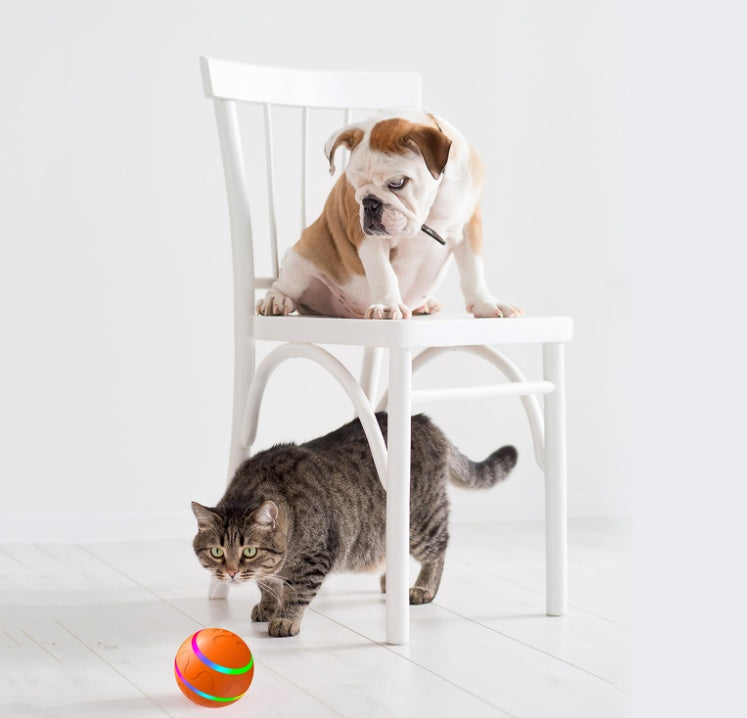 Automatic cat ball toy with remote control