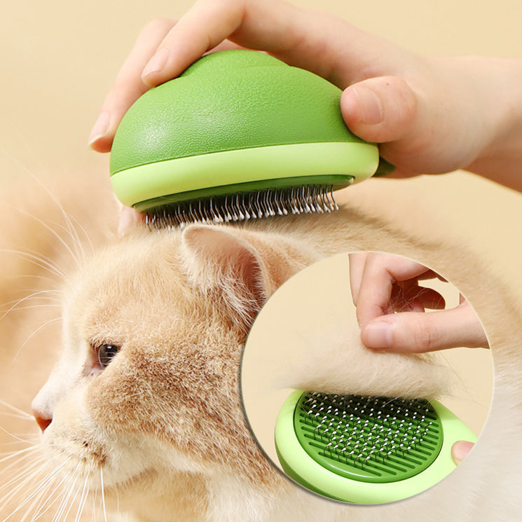 Avocado pet hair removal comb for dogs and cats