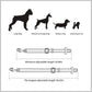 Dog car safety belt with metal hook and buckle connector