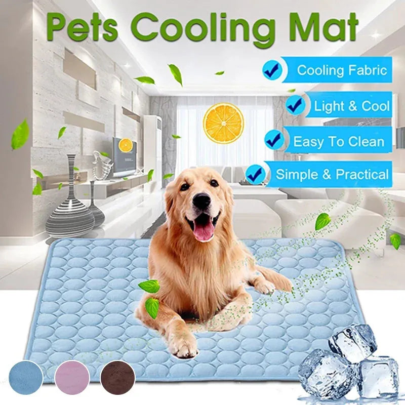 Dog lying on blue pet cooling mat for summer comfort