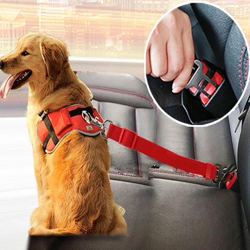 Dog secured in car seat with adjustable pet seat belt
