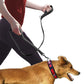 Double handle dog leash with reflective nylon