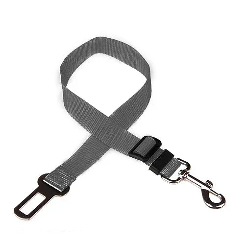 Durable vehicle pet leash for safe car journeys