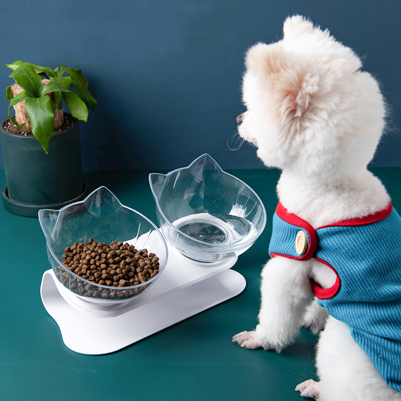 Elevated tilted cat bowl for food and water