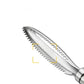 Stainless steel fish scaler scraper removing fish scales for fast fish cleaning