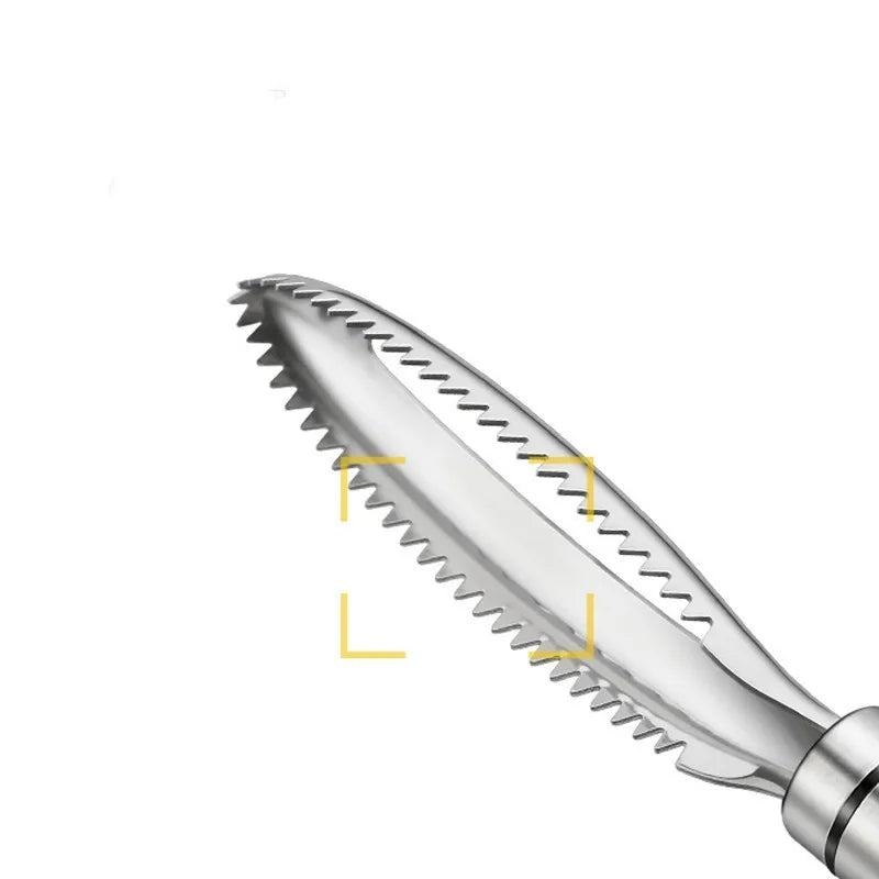 Stainless steel fish scaler scraper removing fish scales for fast fish cleaning