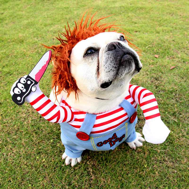 Halloween pet costume for small and medium dogs