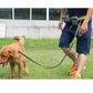 Hands free waist dog leash for walking