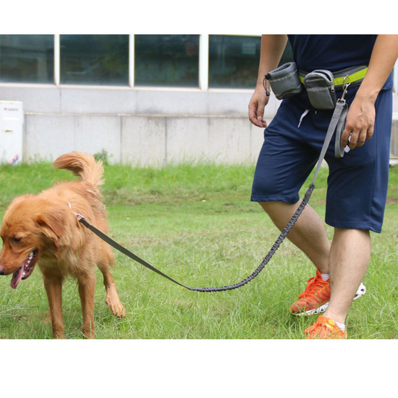 Hands free waist dog leash for walking