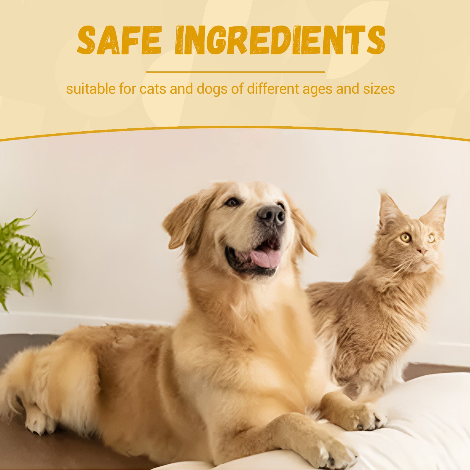 Pet nutrition supplement for energy and vitality
