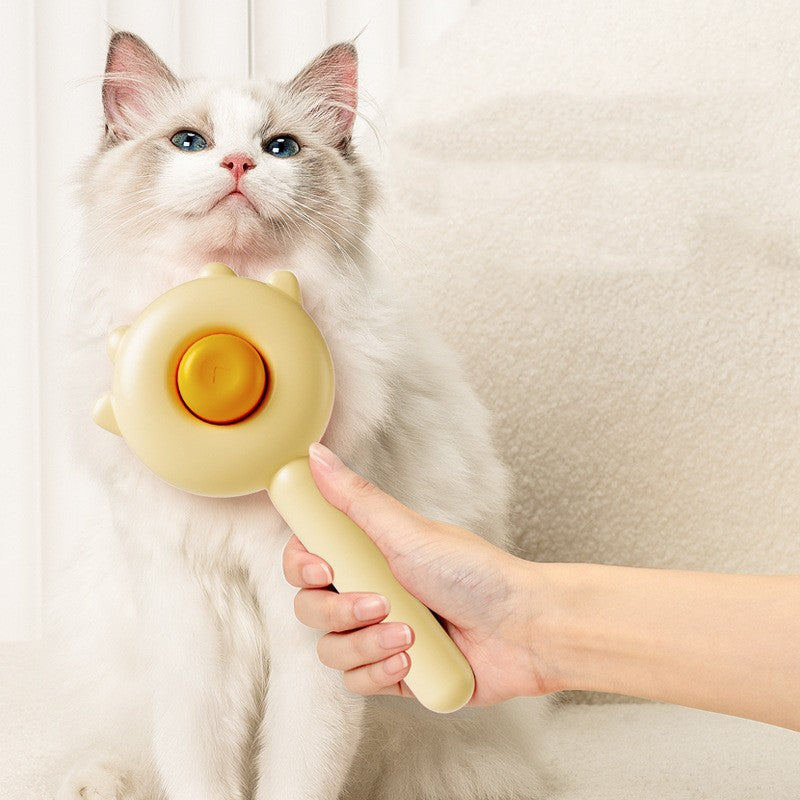 Pet grooming comb brushing a white cat