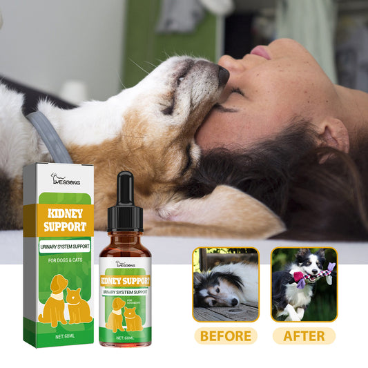 Pet nutrition supplement for energy and vitality