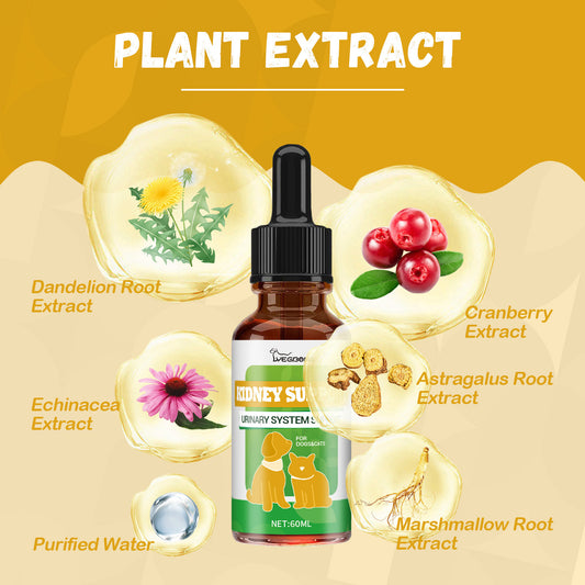 Pet nutrition supplement for energy and vitality