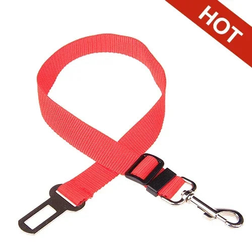 Pet safety leash extension for vehicle seat belt buckle