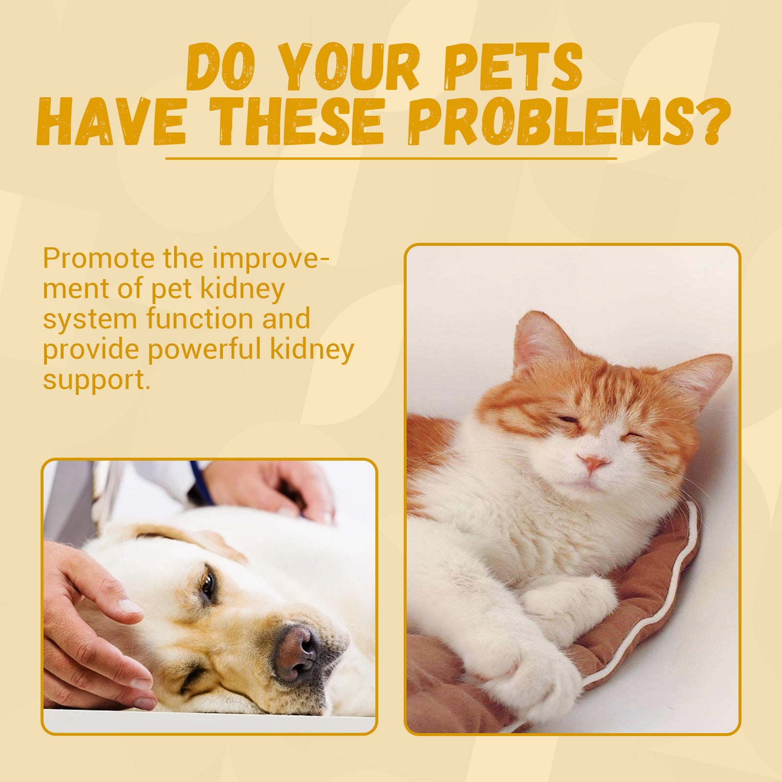 Plant-based pet wellness supplement in 60ml bottle